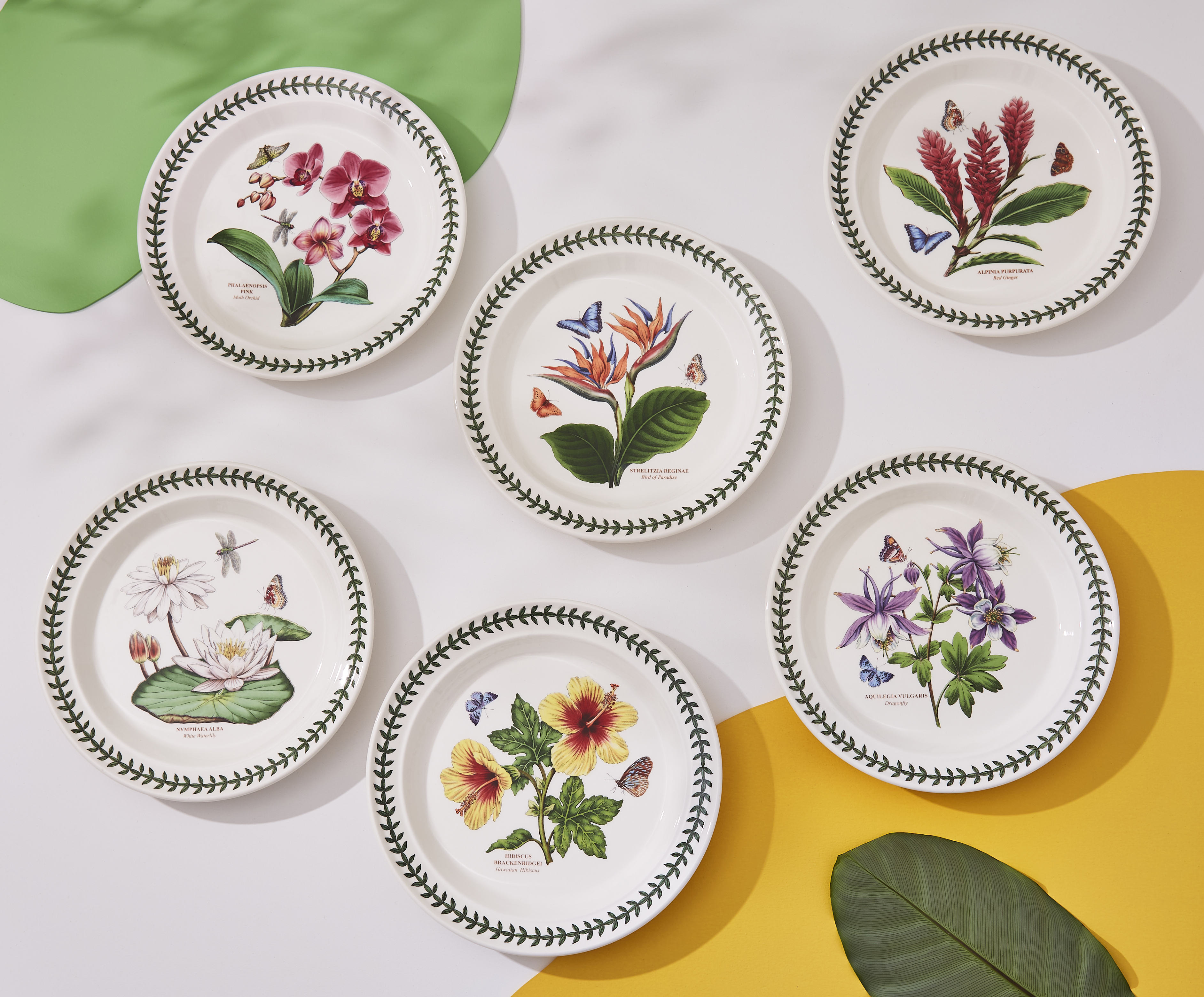 Exotic Botanic Garden 10.5 Inch Dinner Plate Set of 6 (Assorted Motifs) image number null